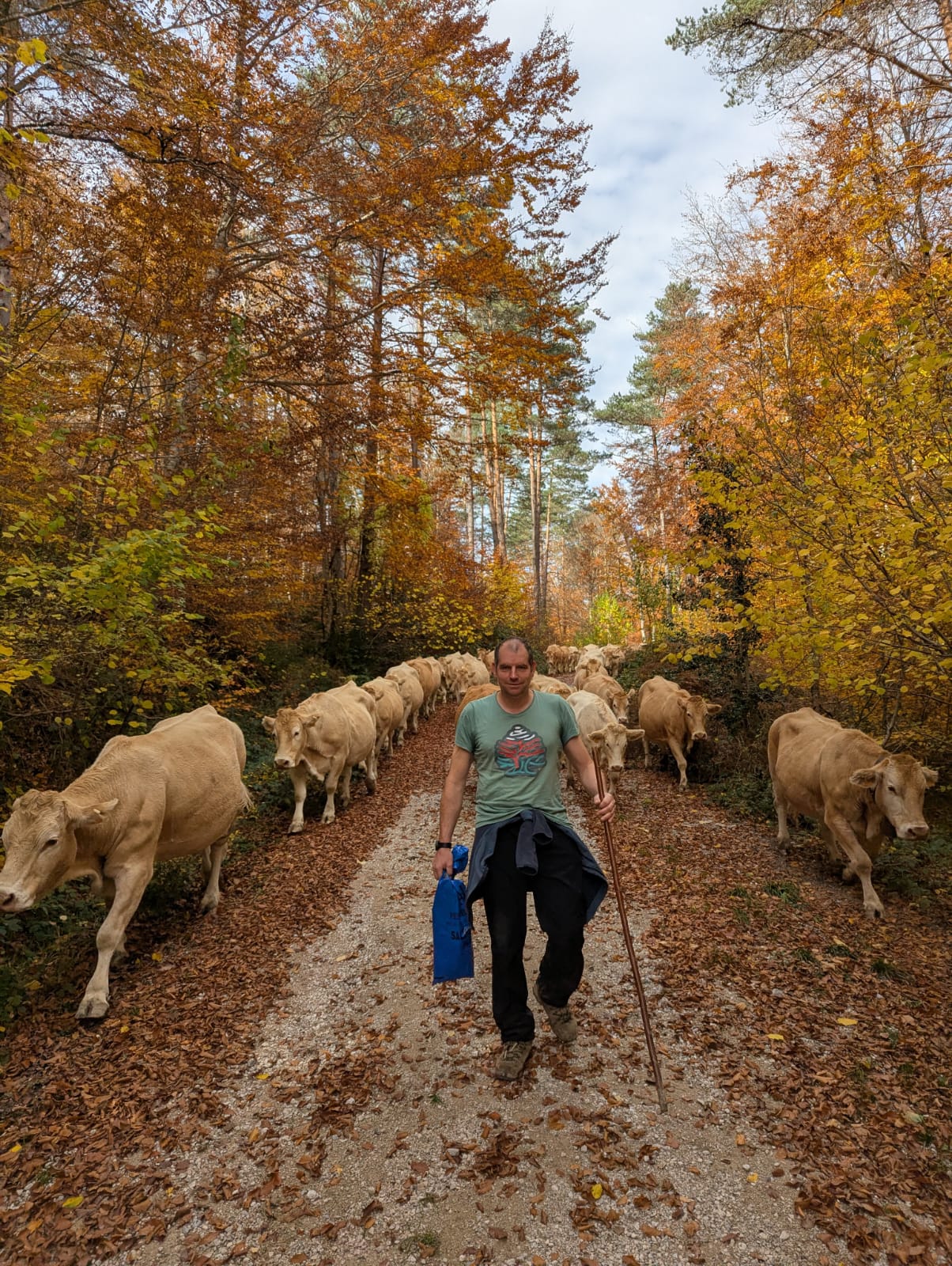 Gonzalo Palacios - Ganadero